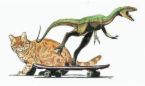 Le compsognathus, un sacré coureur !